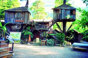 Ubytování v "tree houses" v národním parku Olympos