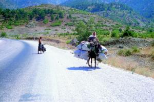 Dopravní prostředek prověřený časem - turecké vnitrozemí