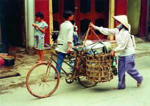 Jízdní kolo je ve Vietnamu základním i nákladním dopravním prostředkem.