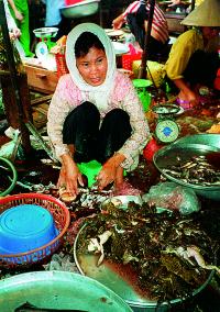 Na trhu v Dalatu jsou k mání čerstvé žáby, žádaná místní pochoutka.