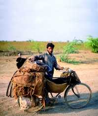 Indický cyklista, převážející náklad z vesnice do vesnice. Pod rámem má v plachtě kozu - „živou konzervu“.